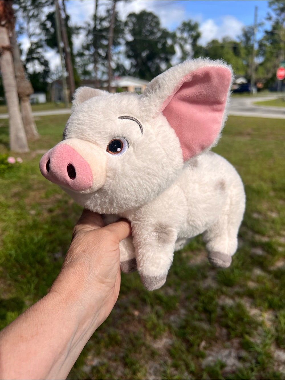 Disneys Moana Pua Pig Plush Stuffed Animal